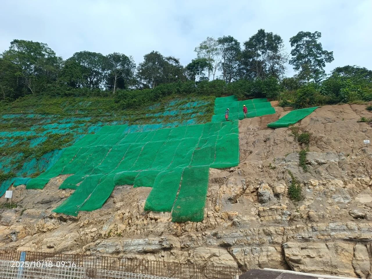 Erection Tower Crane